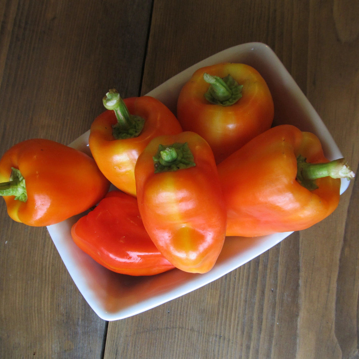 Fresh Feher Ozon paprika peppers from Hudson Valley Seed Co., vibrant red vegetables ready for harvest or culinary use.