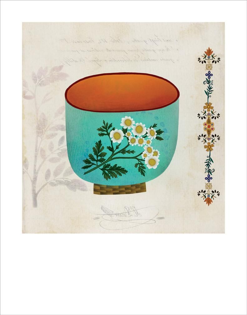 Signed Feverfew fine art print by Hudson Valley Seed Co. featuring detailed botanical illustration of feverfew flowers.