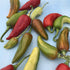 Fresh Fish Hot Pepper vegetable from Hudson Valley Seed Co., vibrant red and green peppers displayed on a vendor stand.