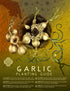 Fine art garlic planting guide poster by Hudson Valley Seed Co. showing garlic planting tips and illustrations.