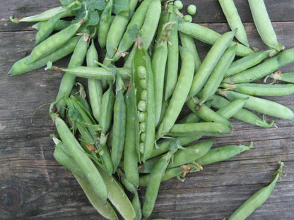 Fresh green arrow shell peas from Hudson Valley Seed Co. displayed in a rustic setting with vibrant green pods.