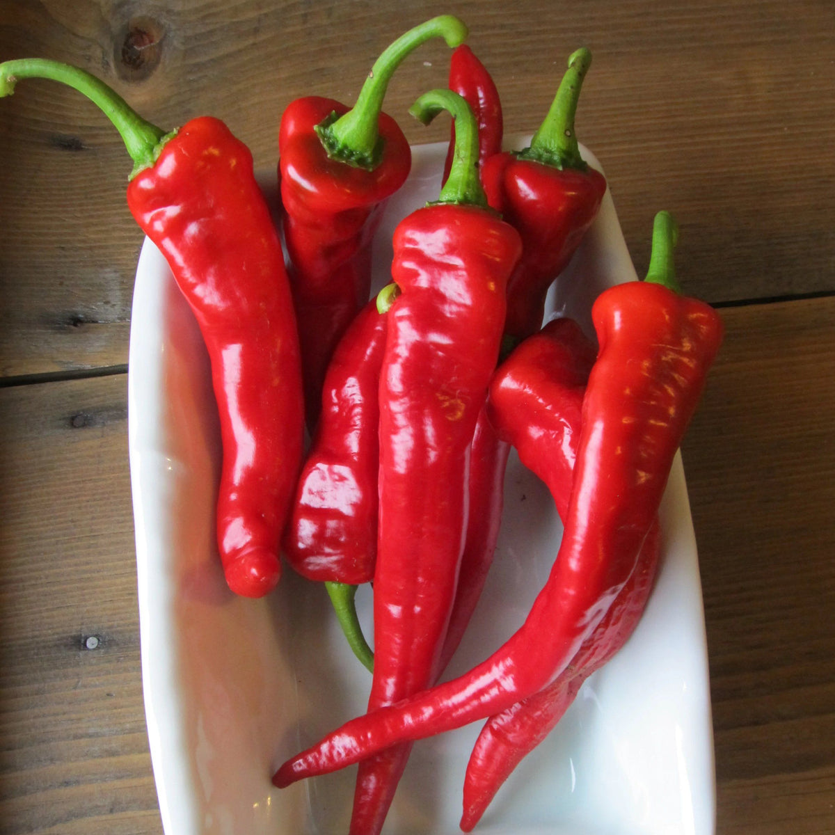Bright red Hot Portugal pepper from Hudson Valley Seed Co. displayed on a vendor stand, showcasing its vibrant, elongated vegetable.