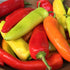 Hungarian Hot Wax vegetables from Hudson Valley Seed Co., vibrant yellow-orange peppers on display.