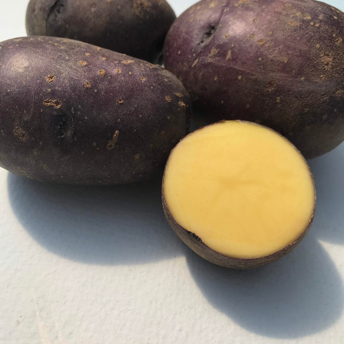 Huckleberry Gold potato from Hudson Valley Seed Co., fresh vegetable with yellow skin and purple streaks, on a rustic wooden surface.