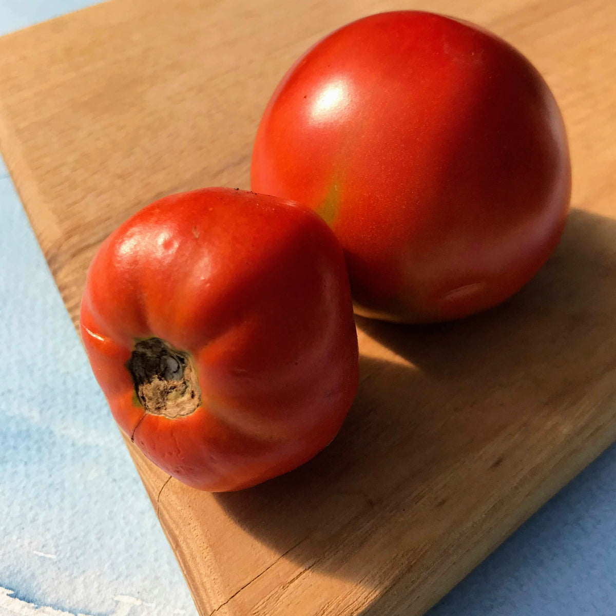 Fresh Rutgers tomato vegetable from Hudson Valley Seed Co., showcasing ripe, red, and plump tomatoes on the vine.