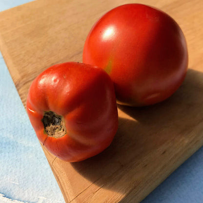 Fresh Rutgers tomato vegetable from Hudson Valley Seed Co., showcasing ripe, red, and plump tomatoes on the vine.