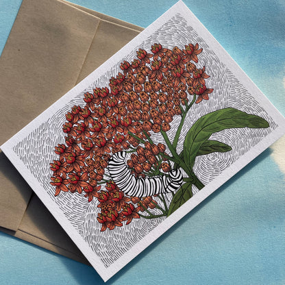 Butterfly Weed note card with matching envelope from Hudson Valley Seed Co., featuring vibrant butterfly weed illustration.