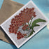 Butterfly Weed note card with matching envelope from Hudson Valley Seed Co., featuring vibrant butterfly weed illustration.