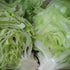 Ithaca Lettuce vendor-unknown