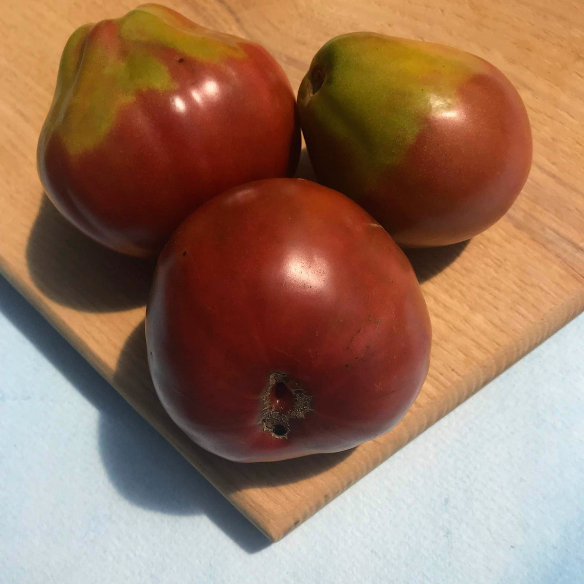 Japanese Black Trifele tomato from Hudson Valley Seed Co, showing dark, elongated heirloom vegetables with smooth skin and deep color.