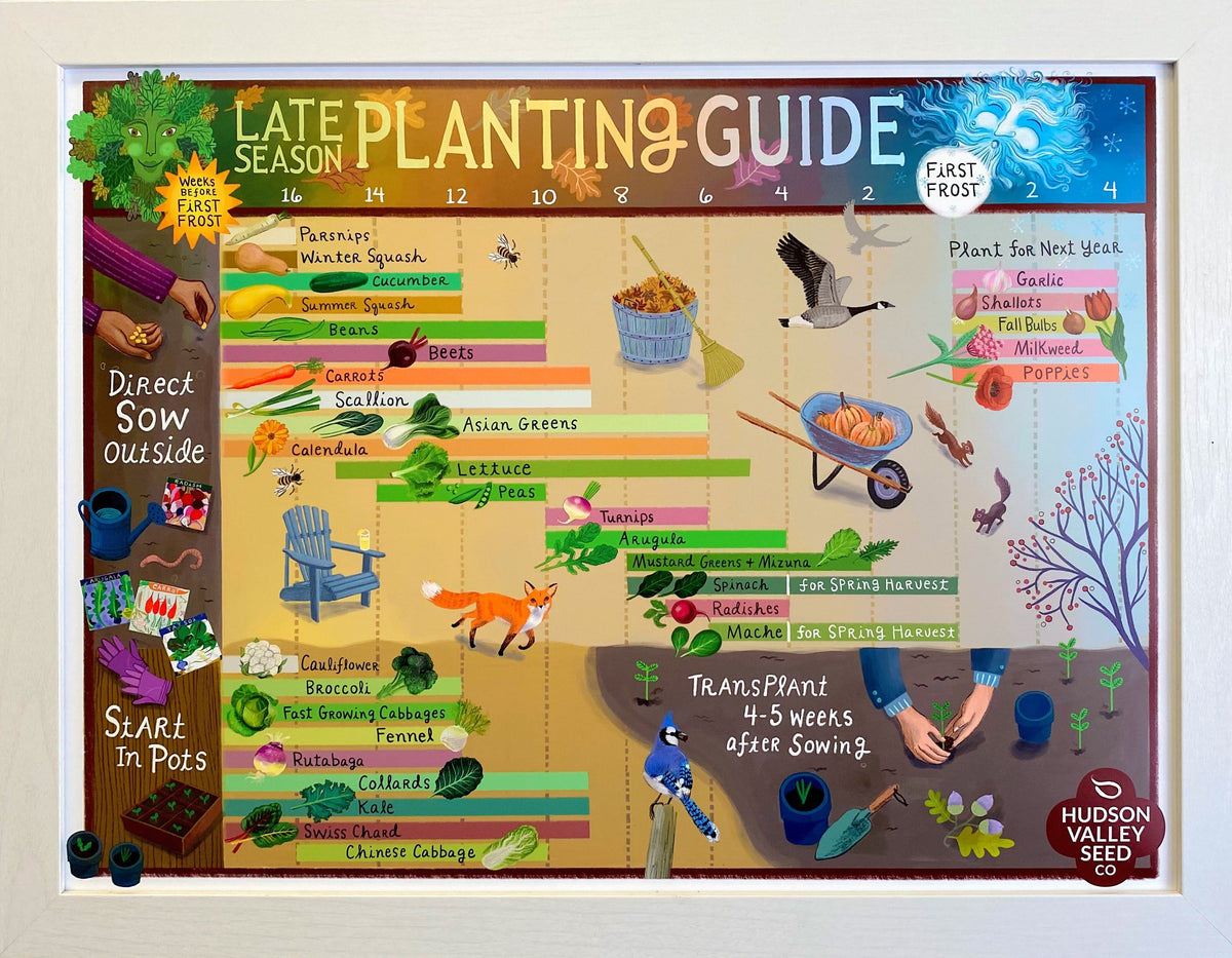 Fine art poster featuring a late-season planting guide by Hudson Valley Seed Co., with colorful illustrations and planting tips.
