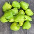 Fresh Little Bells Sweet Pepper from Hudson Valley Seed Co., vibrant green and red vegetables on display.