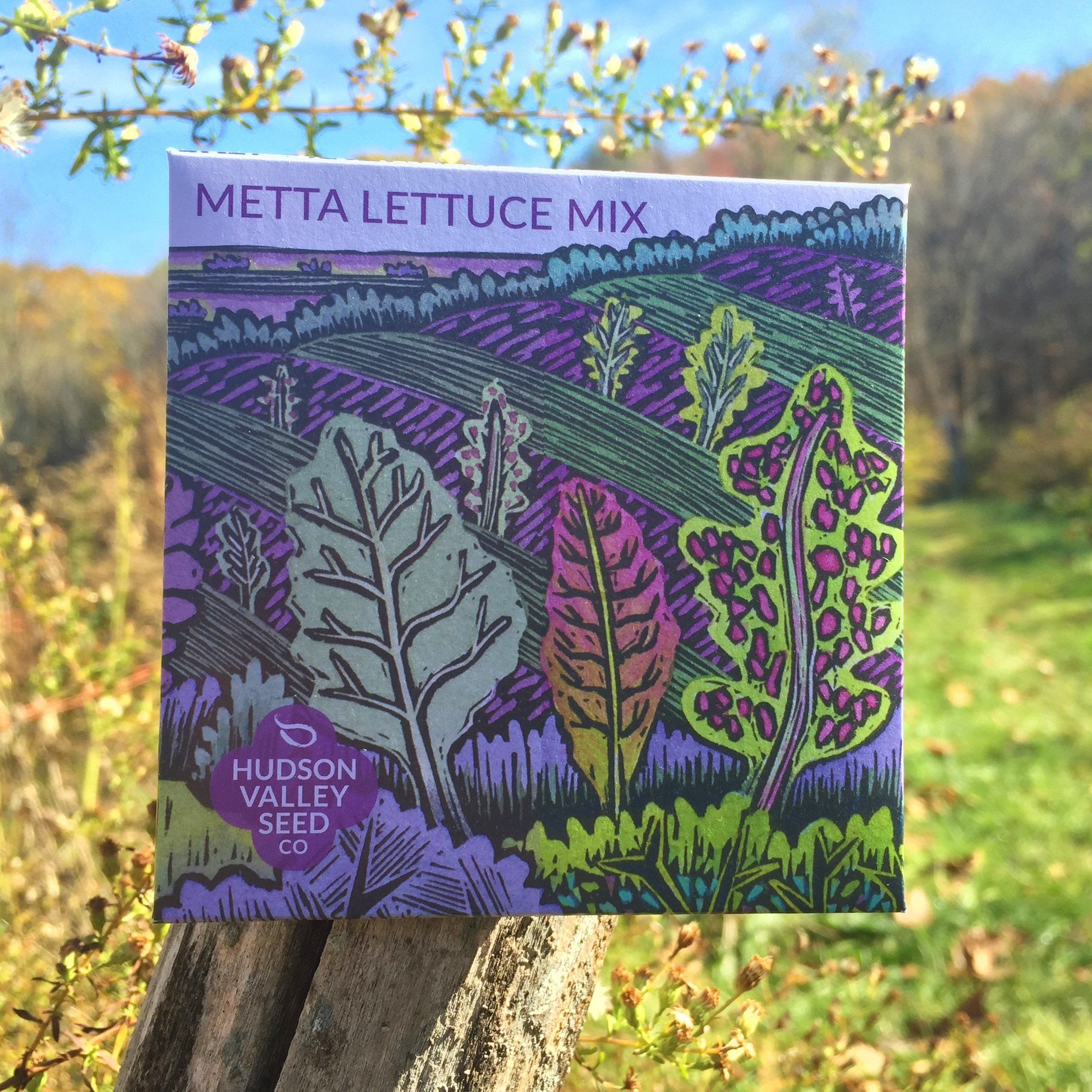 Fresh Metta Lettuce Mix vegetables from Hudson Valley Seed Co., vibrant leafy greens in a colorful mix.