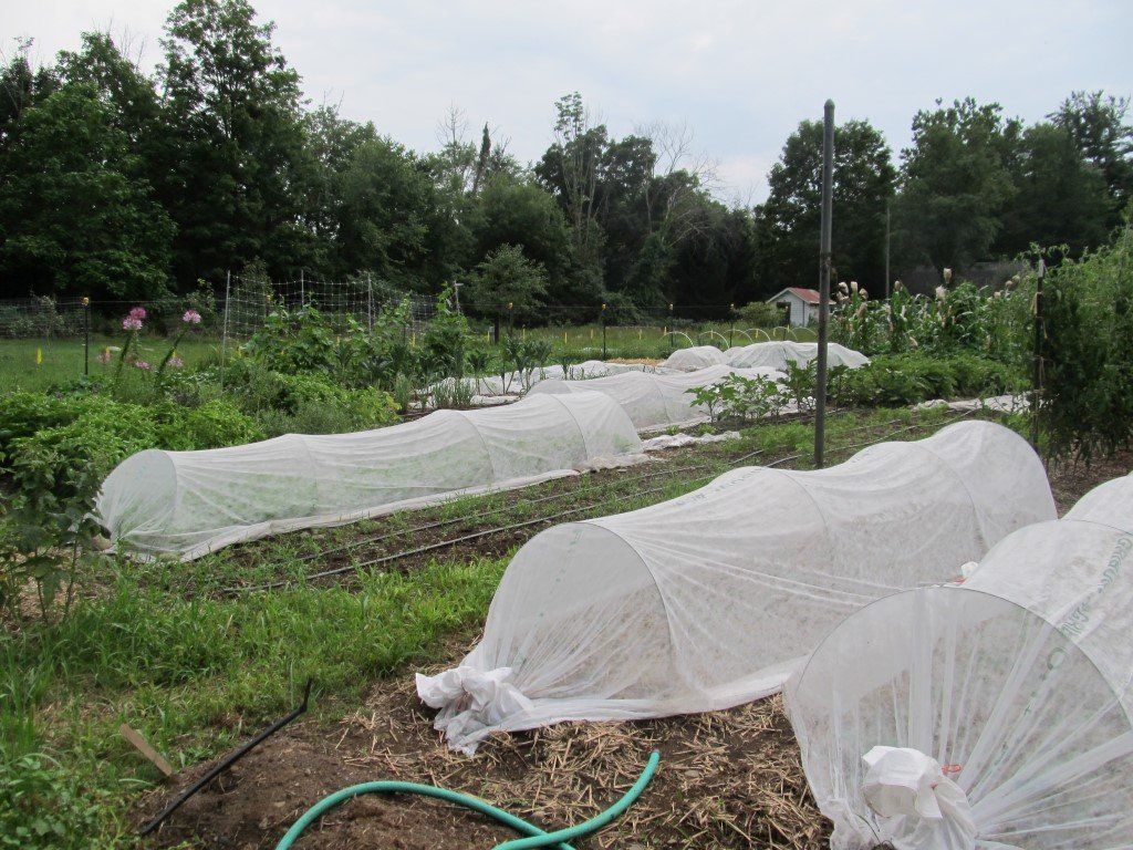 Mid-weight Dewitt row cover cut to 10-foot width, durable tools and supplies for protecting garden plants.