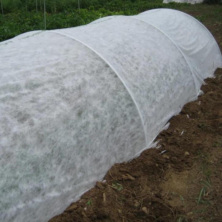 Mid-weight Dewitt row cover cut to 7-foot width, garden tools and supplies for protecting plants from pests and weather.