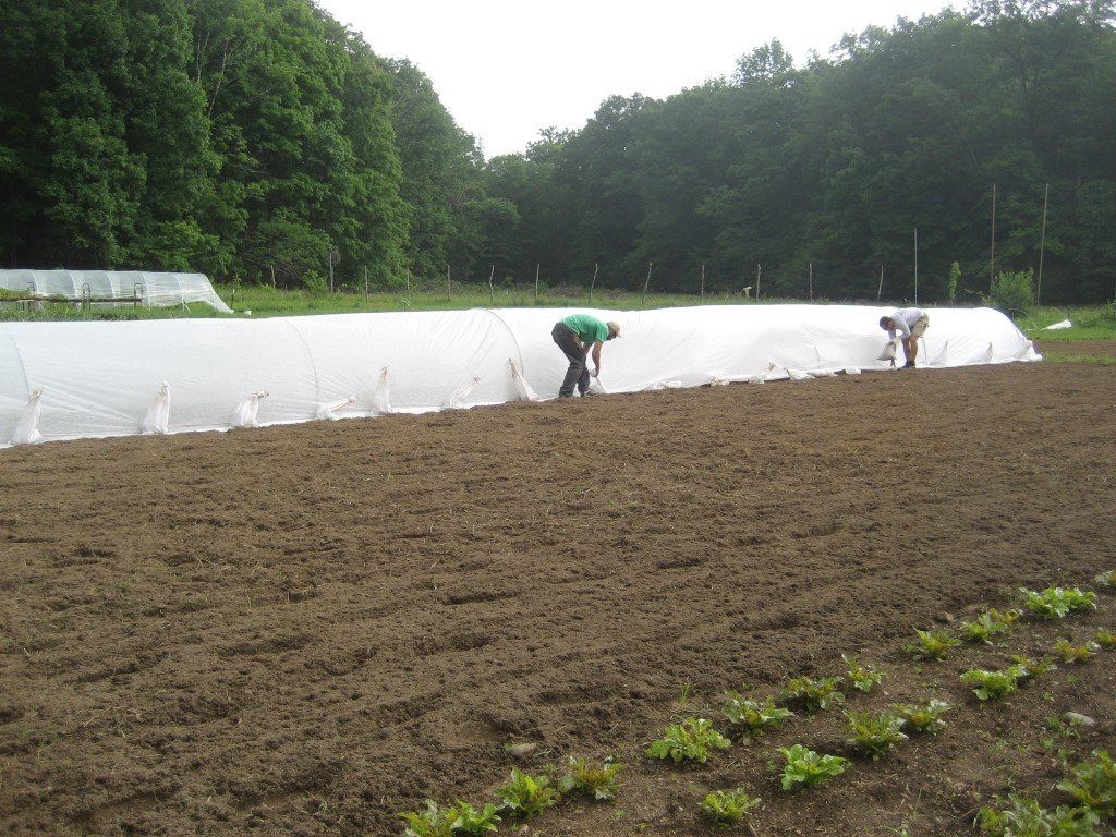 Mid-weight Dewitt row cover cut to 7-foot width, durable garden tools and supplies for protecting plants.