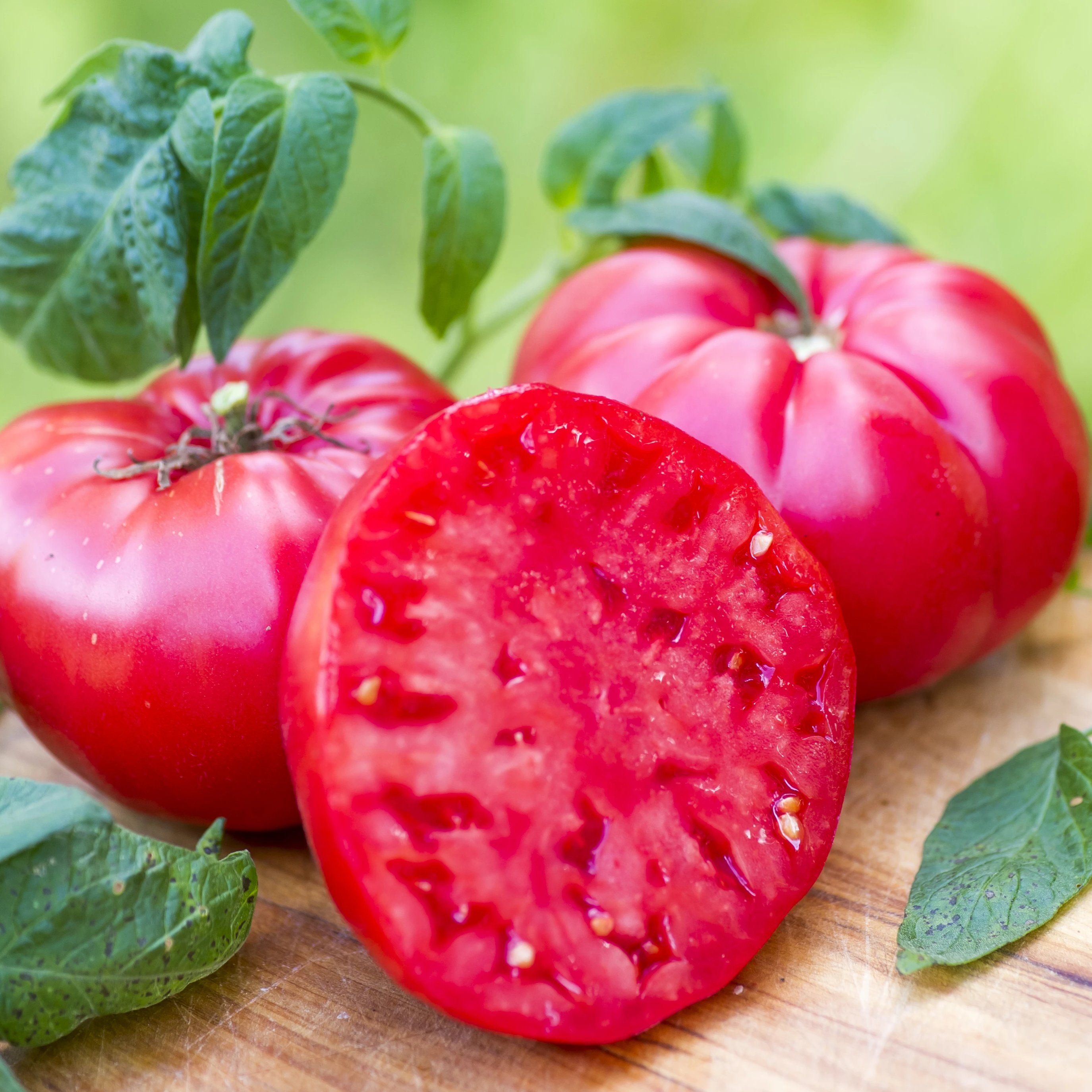 Bright Mikado tomato from Hudson Valley Seed Co., showcasing its vibrant red color and smooth, round vegetable appearance.