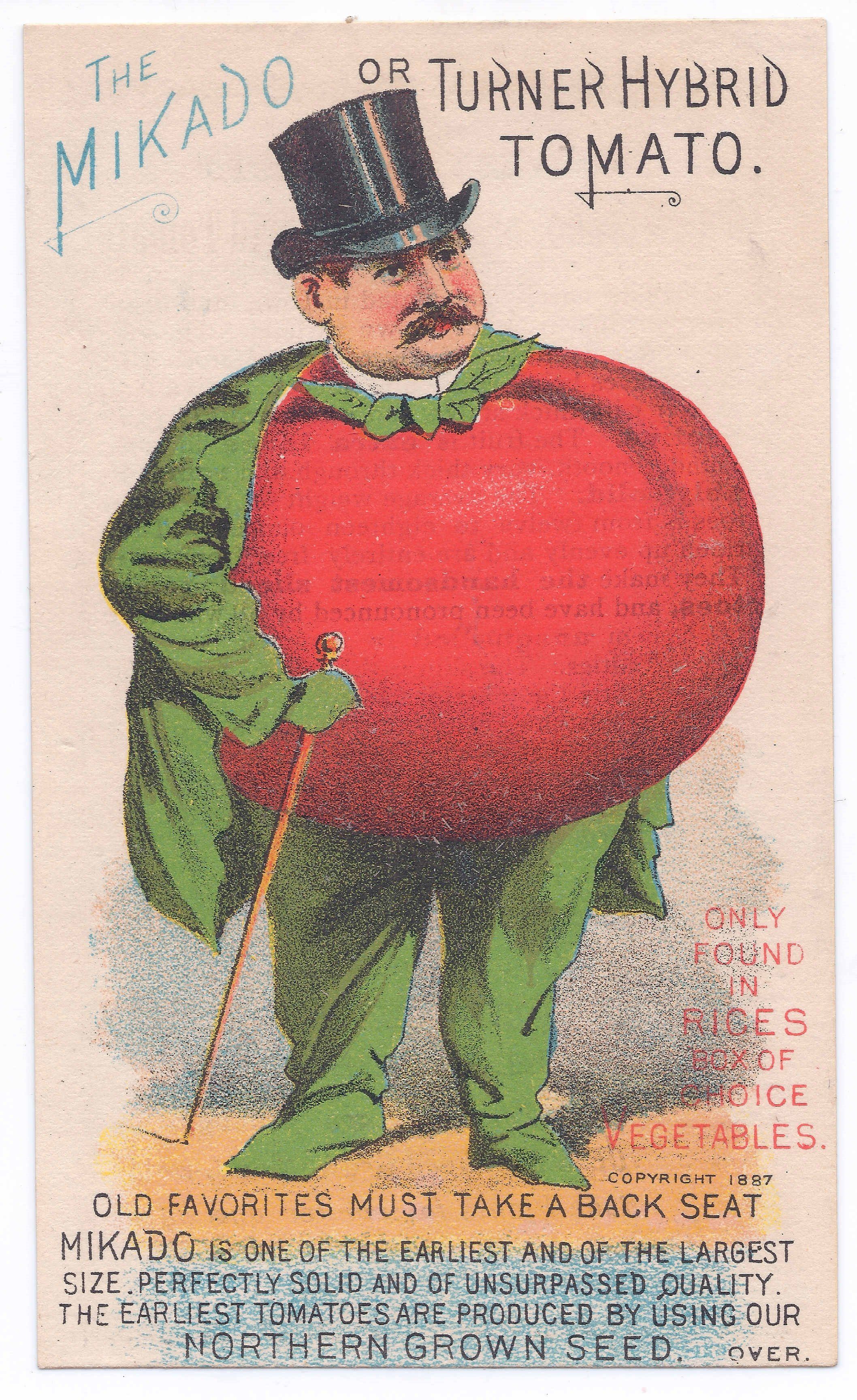 Fresh Mikado tomatoes from Hudson Valley Seed Co., vibrant red vegetables displayed at a vendor stand.
