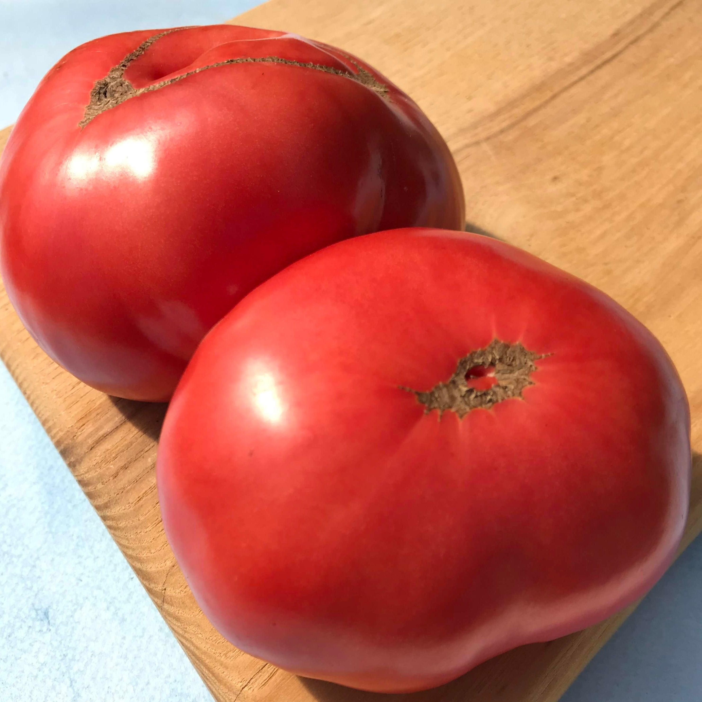 Fresh Mikado tomato vegetable from Hudson Valley Seed Co., showcasing bright red, round fruit on the vine.