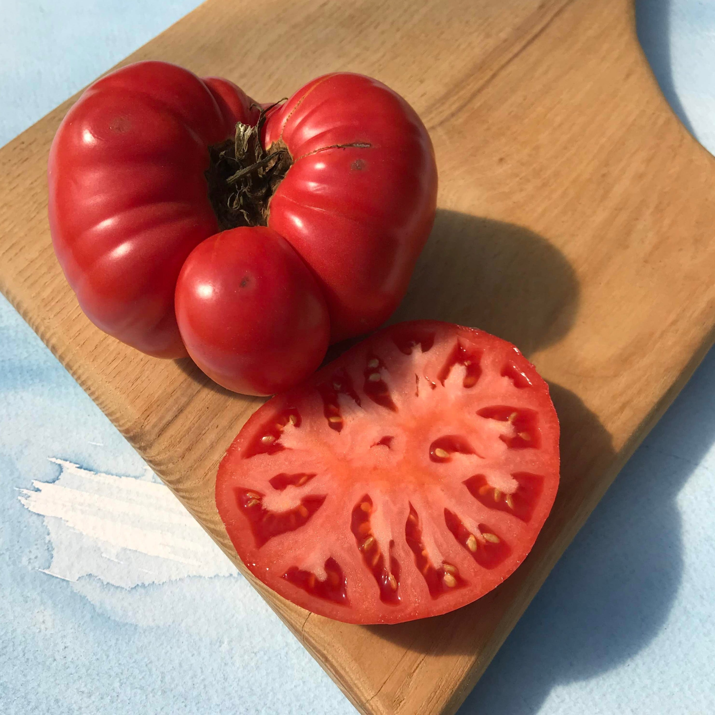 Ripening Mikado tomato from Hudson Valley Seed Co. showcases vibrant red, elongated vegetable with smooth skin and lush green foliage