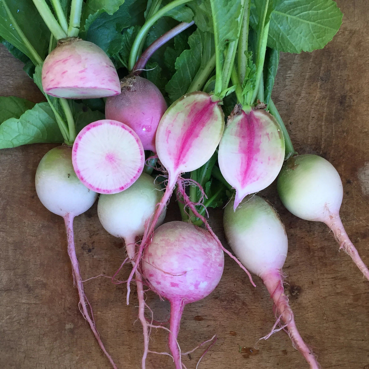 Fresh Misato Rose Fall Radish from Hudson Valley Seed Co., showcasing vibrant pink and white radishes with leafy greens.
