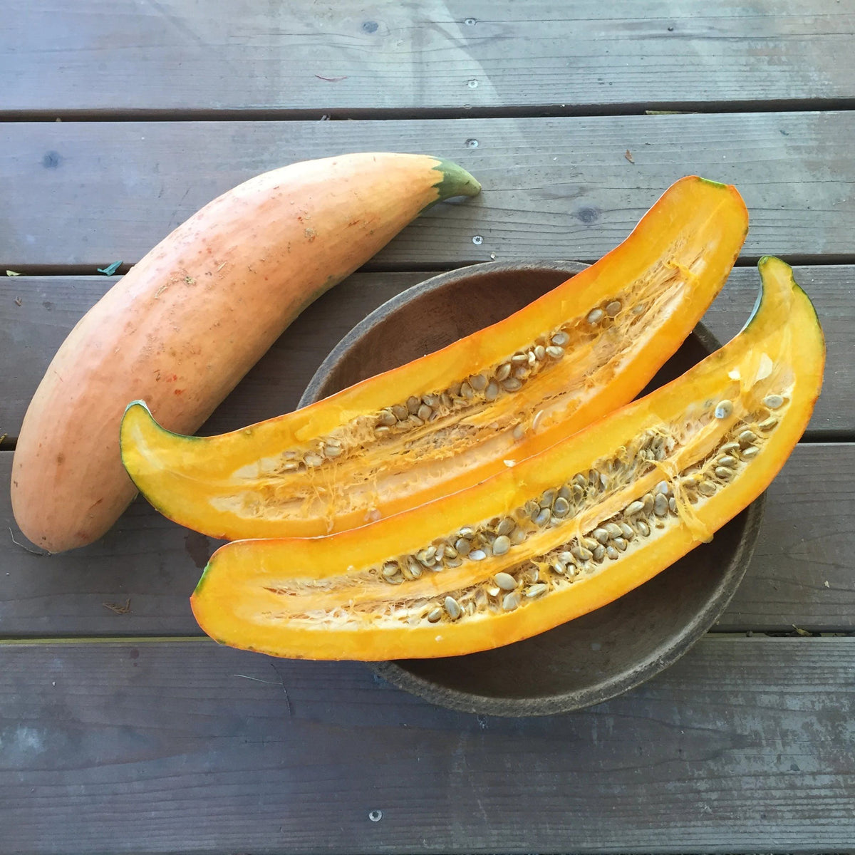 North Georgia Candy Roaster vegetable from Hudson Valley Seed Co., showcasing its orange, ribbed, pumpkin-like appearance.