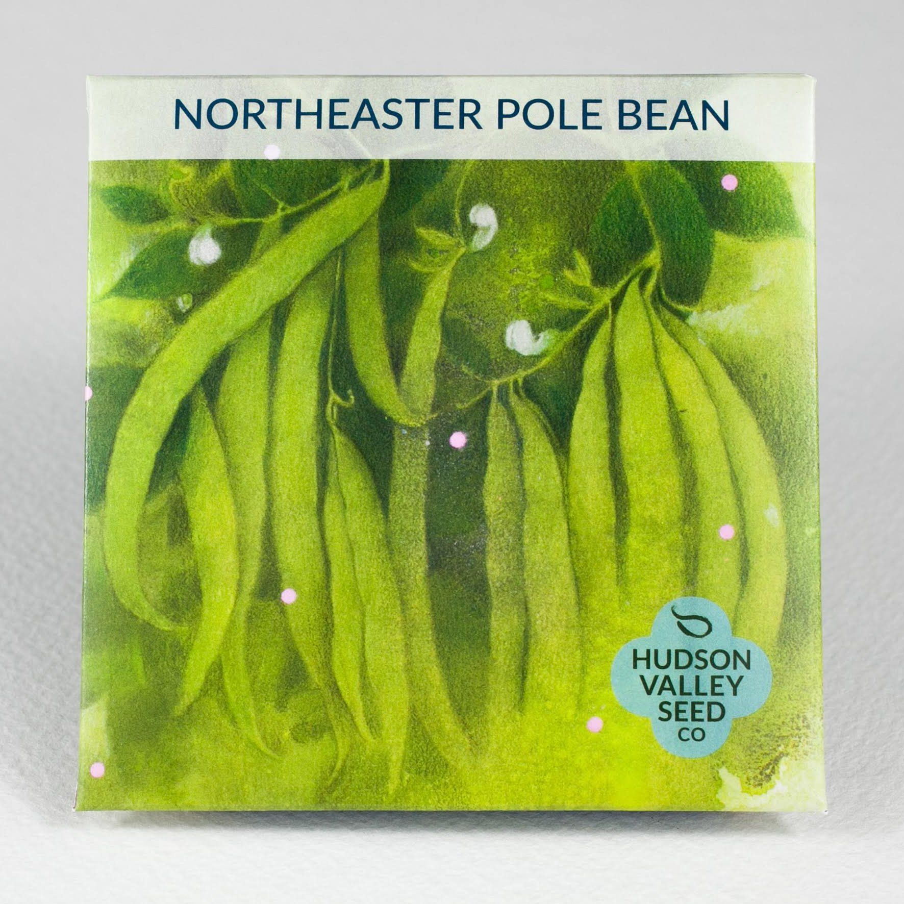 Fresh Northeaster Pole Beans from Hudson Valley Seed Co., vibrant green vegetables with elongated pods on a farm stand.