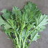 Novantina Broccoli Raab vendor-unknown