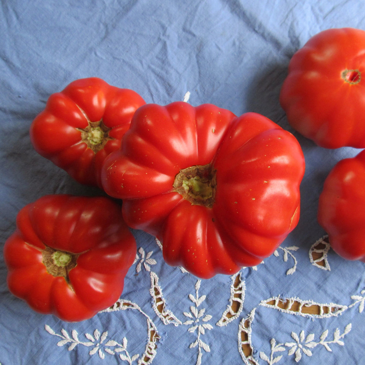 Pantano Romanesco tomato from Hudson Valley Seed Co., vibrant green heirloom vegetable with ribbed, leafy appearance.