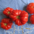 Pantano Romanesco tomato from Hudson Valley Seed Co., vibrant green heirloom vegetable with ribbed, leafy appearance.