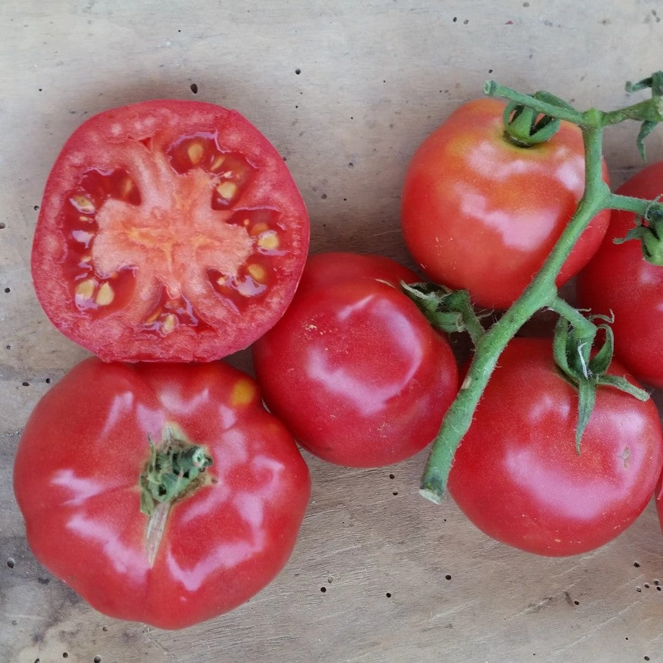 Plate of Haiti tomatoes, fresh vegetables displayed on a rustic plate, by Hudson Valley Seed Co.