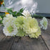 Polar Bear Zinnia flower from Hudson Valley Seed Co., showcasing white and pink petals with green foliage.