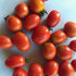 Sun-dried Principe Borghese tomatoes from Hudson Valley Seed Co. displayed in a rustic setting, showcasing vibrant red vegetables.