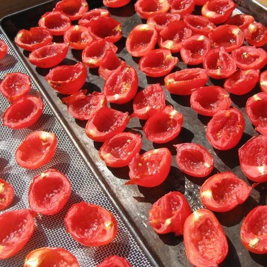 Sun-dried Principe Borghese tomatoes from Hudson Valley Seed Co. displayed in a vendor setting, showcasing vibrant red vegetables.