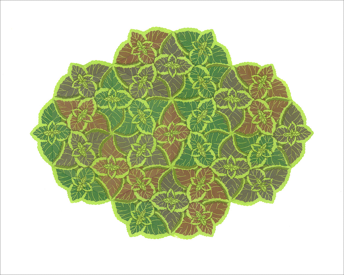 Signed Rainbow Mix Coleus fine art print by Hudson Valley Seed Co. showcasing vibrant, colorful foliage artwork.