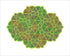 Signed Rainbow Mix Coleus fine art print by Hudson Valley Seed Co. showcasing vibrant, colorful foliage artwork.