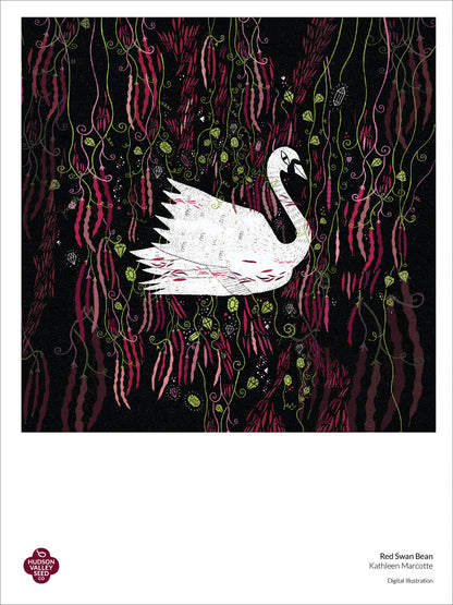 Red Swan Bush Bean fine art poster by Hudson Valley Seed Co. featuring detailed botanical illustration of a red bean plant.