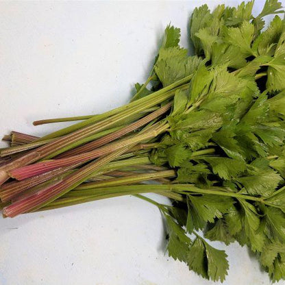 Fresh Redventure celery vegetable from Hudson Valley Seed Co. with crisp green stalks and leafy tops, displayed on a market vendor stand.