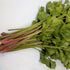 Fresh Redventure celery vegetable from Hudson Valley Seed Co. with crisp green stalks and leafy tops, displayed on a market vendor stand.