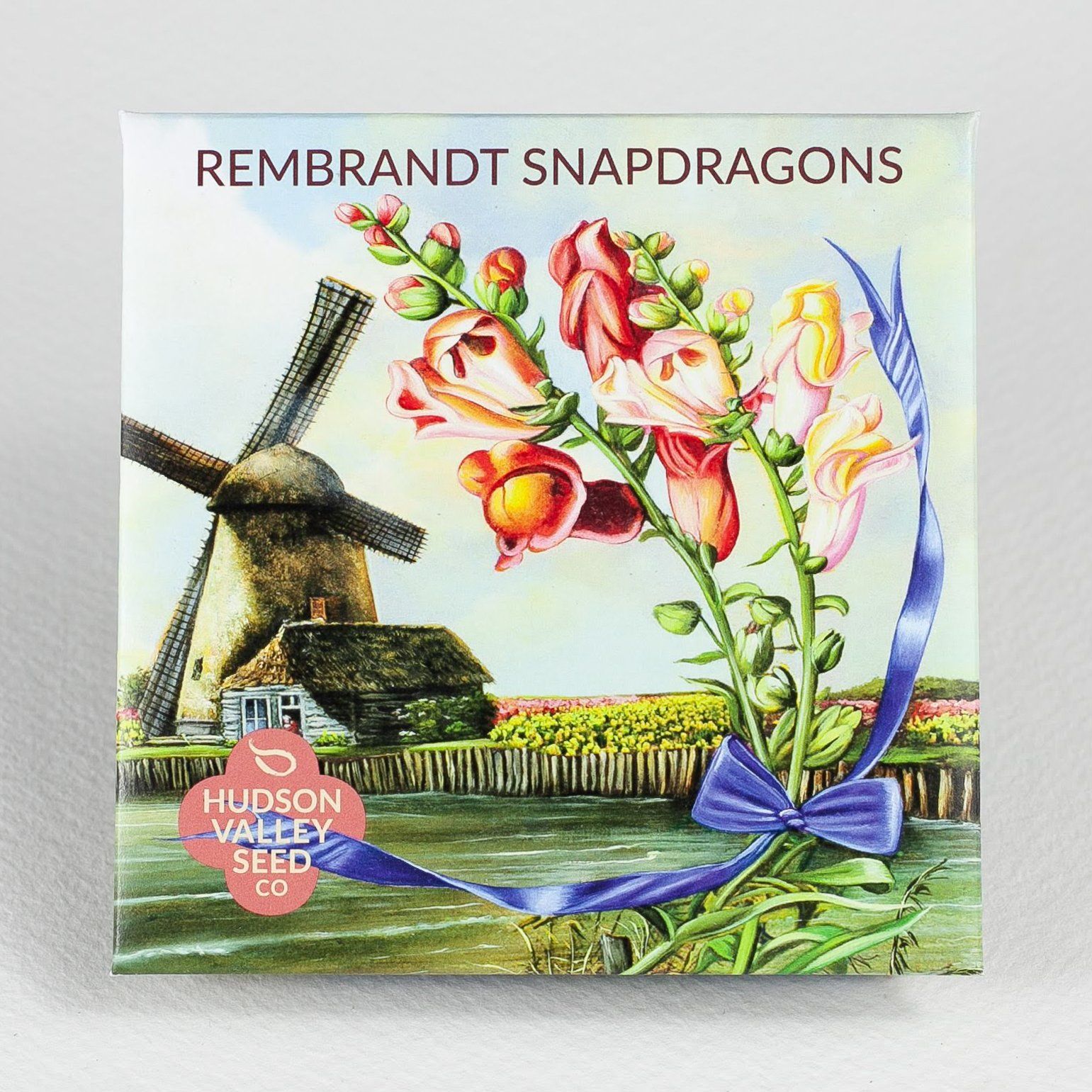 Rembrandt Snapdragons vendor-unknown