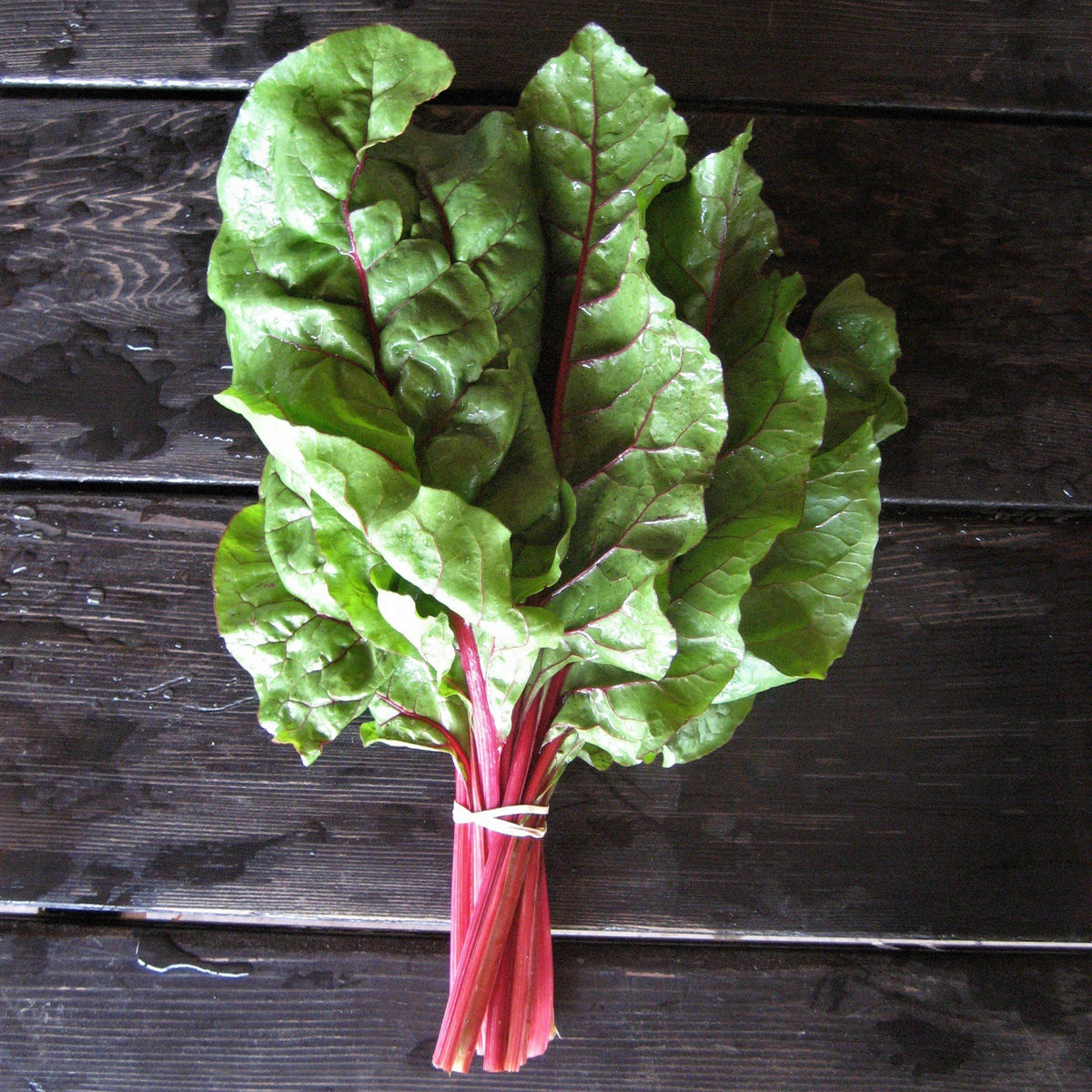 Fresh Rhubarb Chard vegetable from Hudson Valley Seed Co. with vibrant green leaves and colorful stalks.