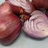 Rossa di Milano onion from Hudson Valley Seed Co., fresh vegetables with vibrant red skin and bulbous shape.