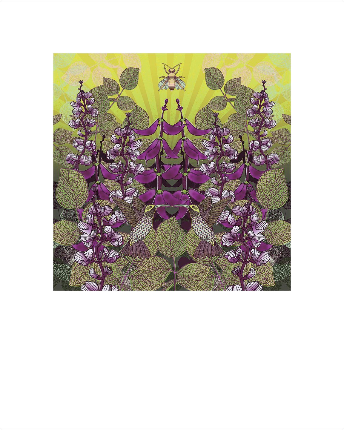 Signed Ruby Moon Hyacinth Bean fine art print by Hudson Valley Seed Co. showcasing vibrant botanical illustration.