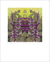 Signed Ruby Moon Hyacinth Bean fine art print by Hudson Valley Seed Co. showcasing vibrant botanical illustration.
