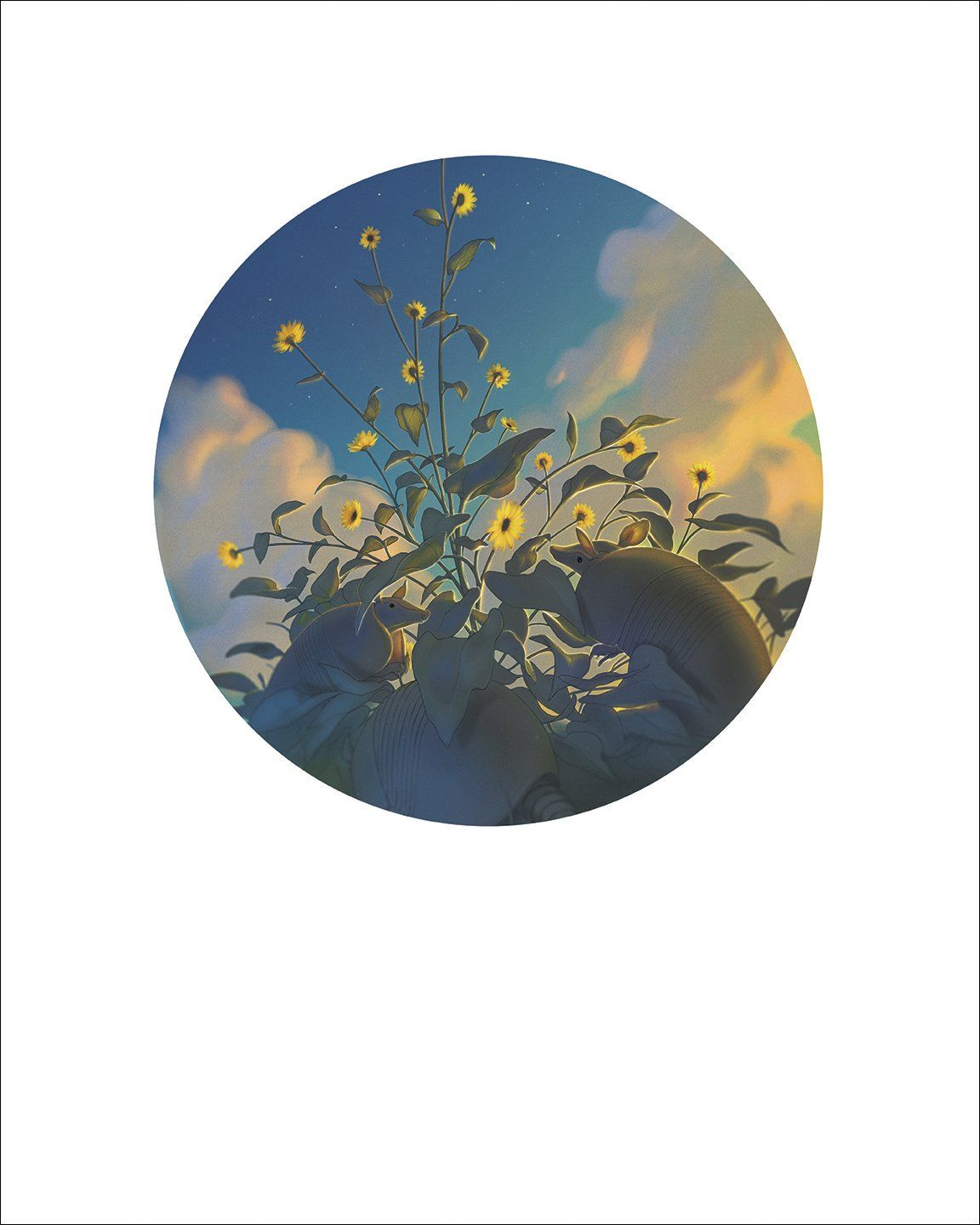 Silverleaf sunflower fine art print by Hudson Valley Seed Co., featuring detailed sunflower artwork on high-quality paper.