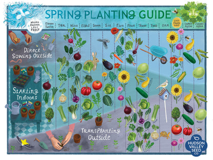 Fine art spring planting guide poster by Hudson Valley Seed Co. featuring colorful illustrations for garden planning.