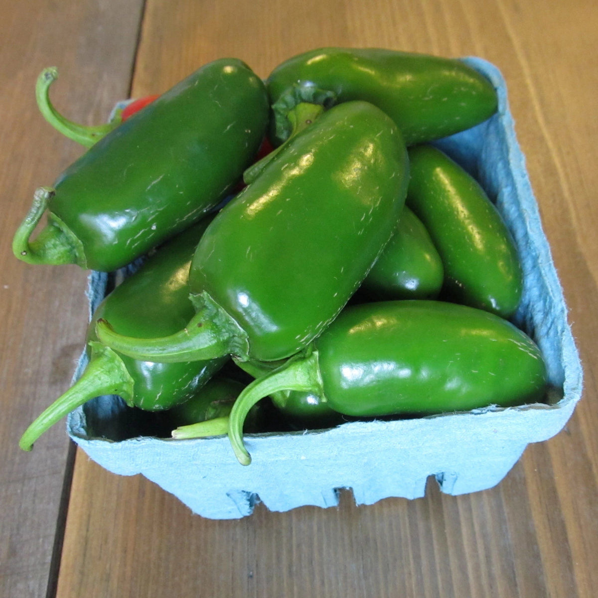 Fresh Tam Jalapeno pepper from Hudson Valley Seed Co., showing its vibrant green color and smooth, firm skin.