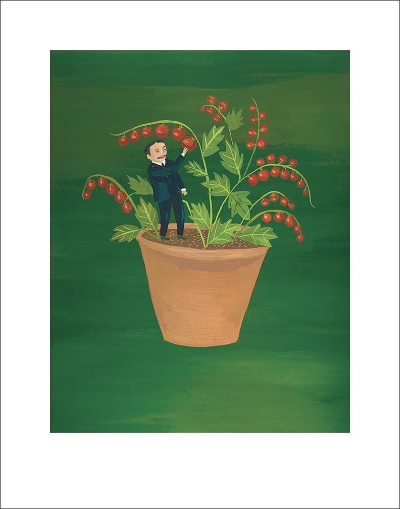 Tiny Tim art print by Hudson Valley Seed Co., signed, featuring detailed botanical illustration on textured paper.
