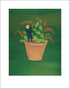 Tiny Tim art print by Hudson Valley Seed Co., signed, featuring detailed botanical illustration on textured paper.