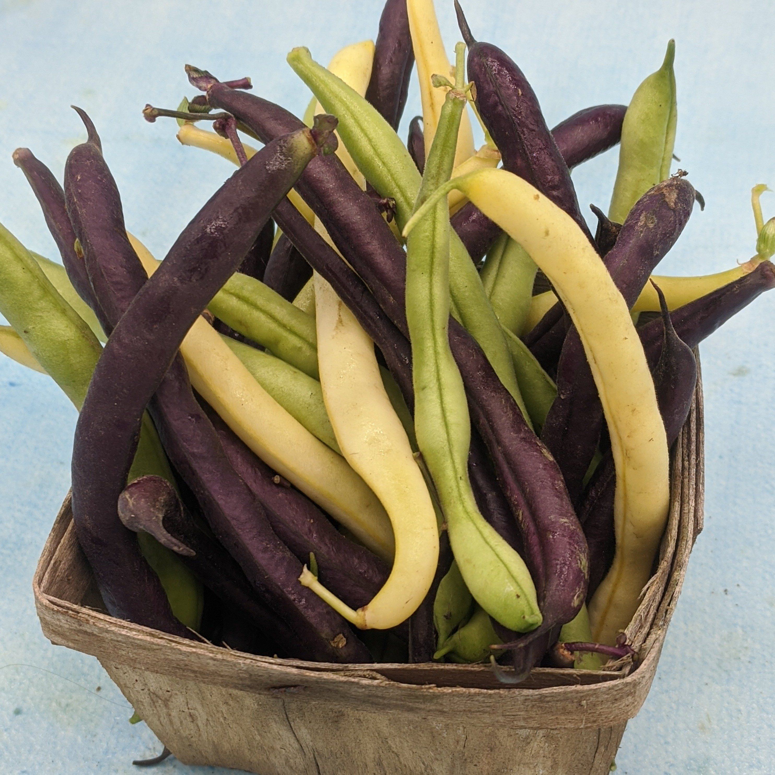 Assorted tri-color bush beans from Hudson Valley Seed Co., featuring green, yellow, and purple beans in a vegetable mix.